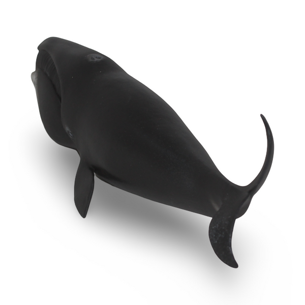CollectA Bowhead Whale Figurine