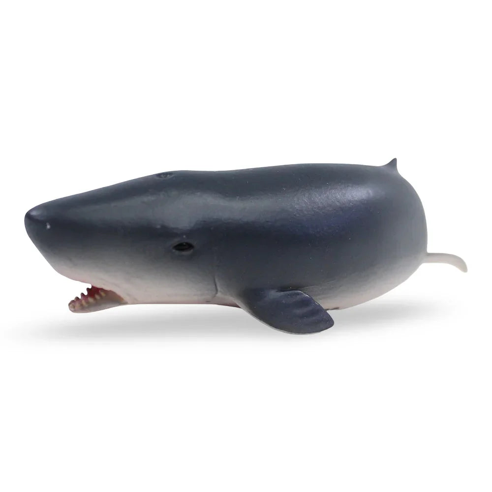 CollectA Pygmy Sperm Whale Figurine - Toys