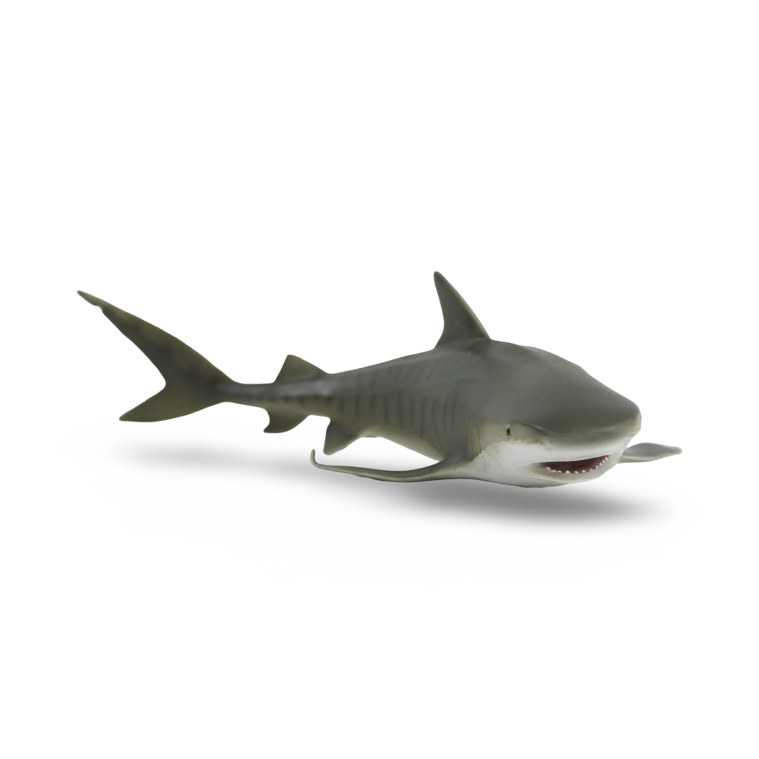 CollectA Tiger Shark Figurine