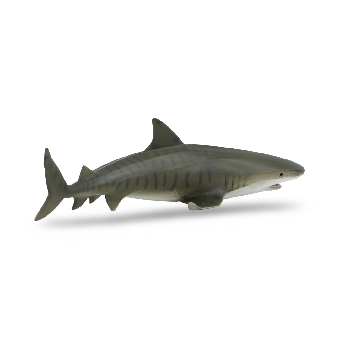 CollectA Tiger Shark Figurine