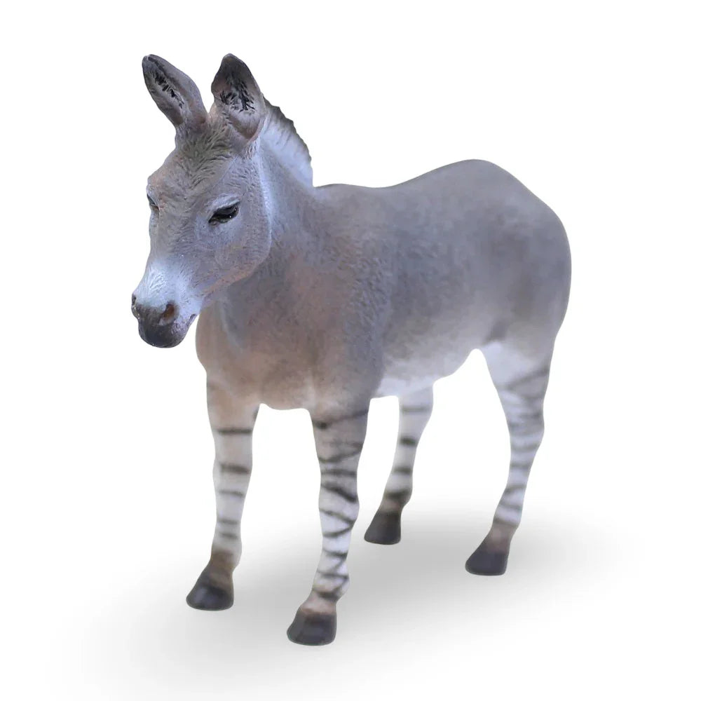 CollectA African Wild Ass Figurine - Toys