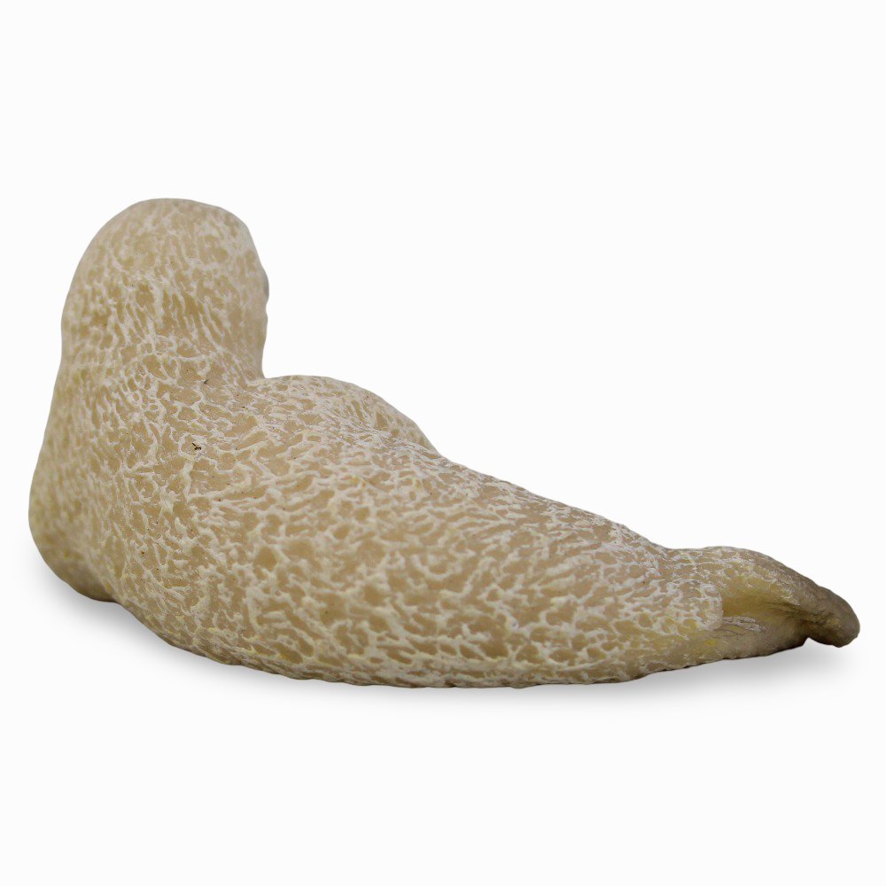 Spotted Seal Pup Figurine