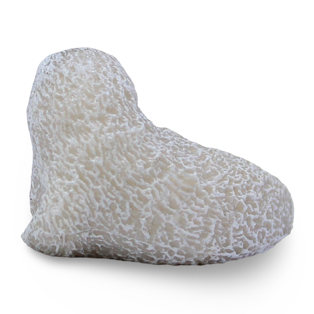 CollectA Spotted Seal Pup Figurine