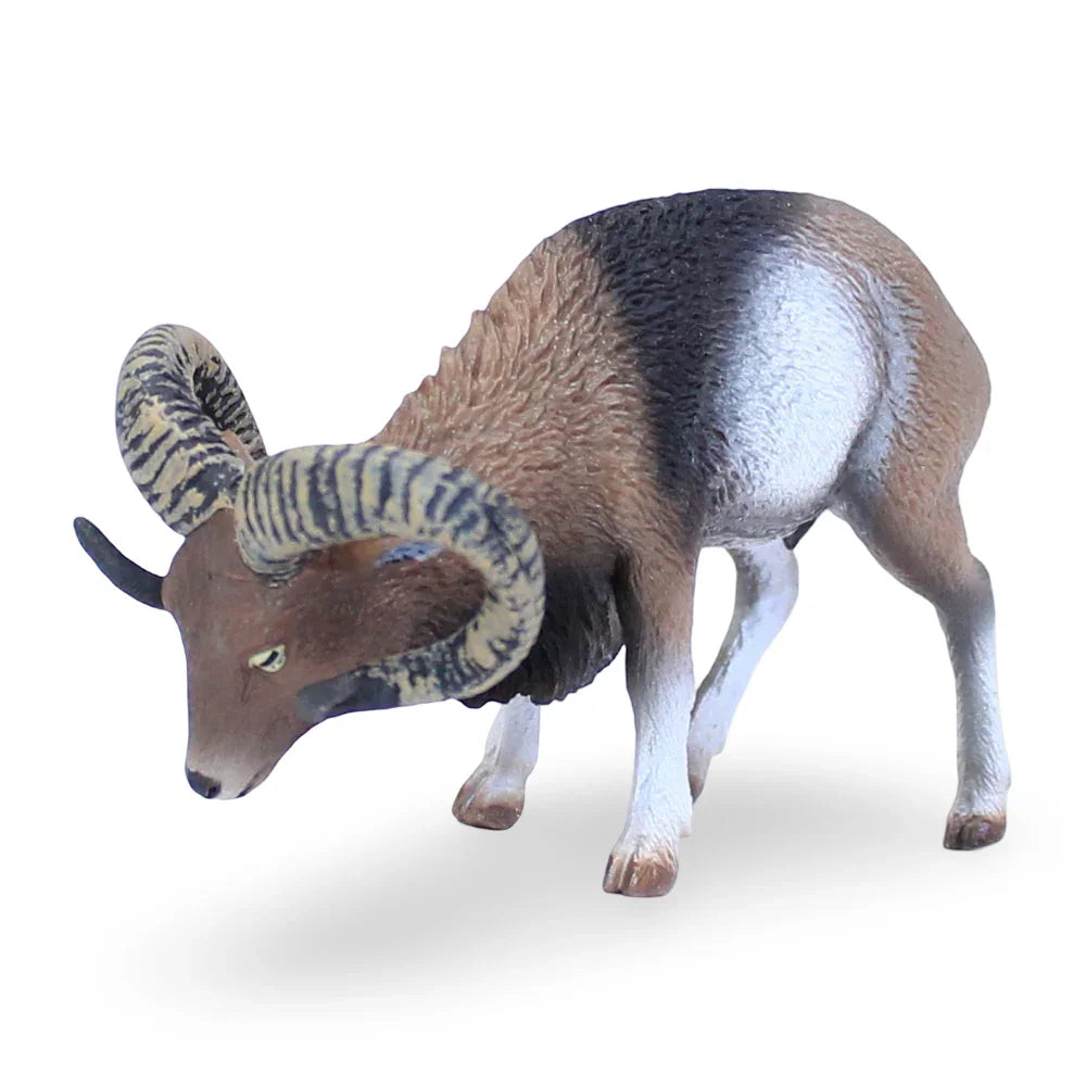 CollectA European Mouflon Figurine - Toys