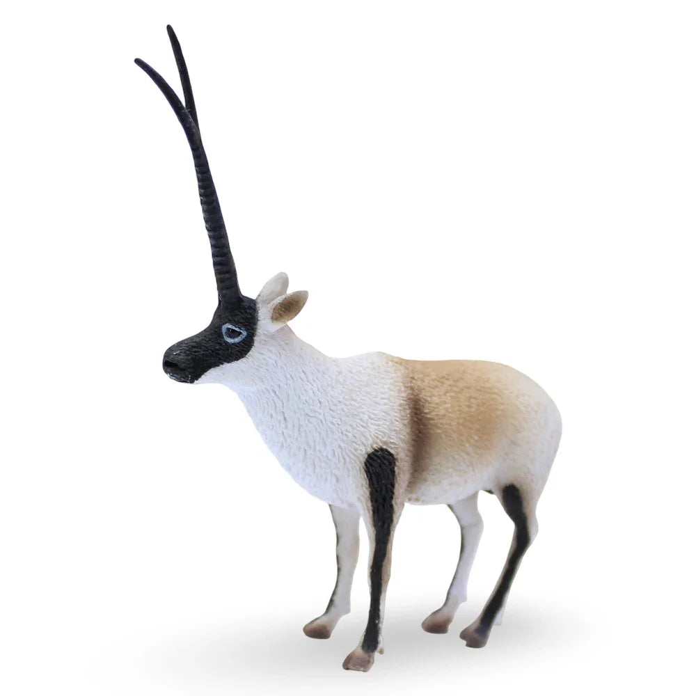 CollectA Chiru Figurine - Toys
