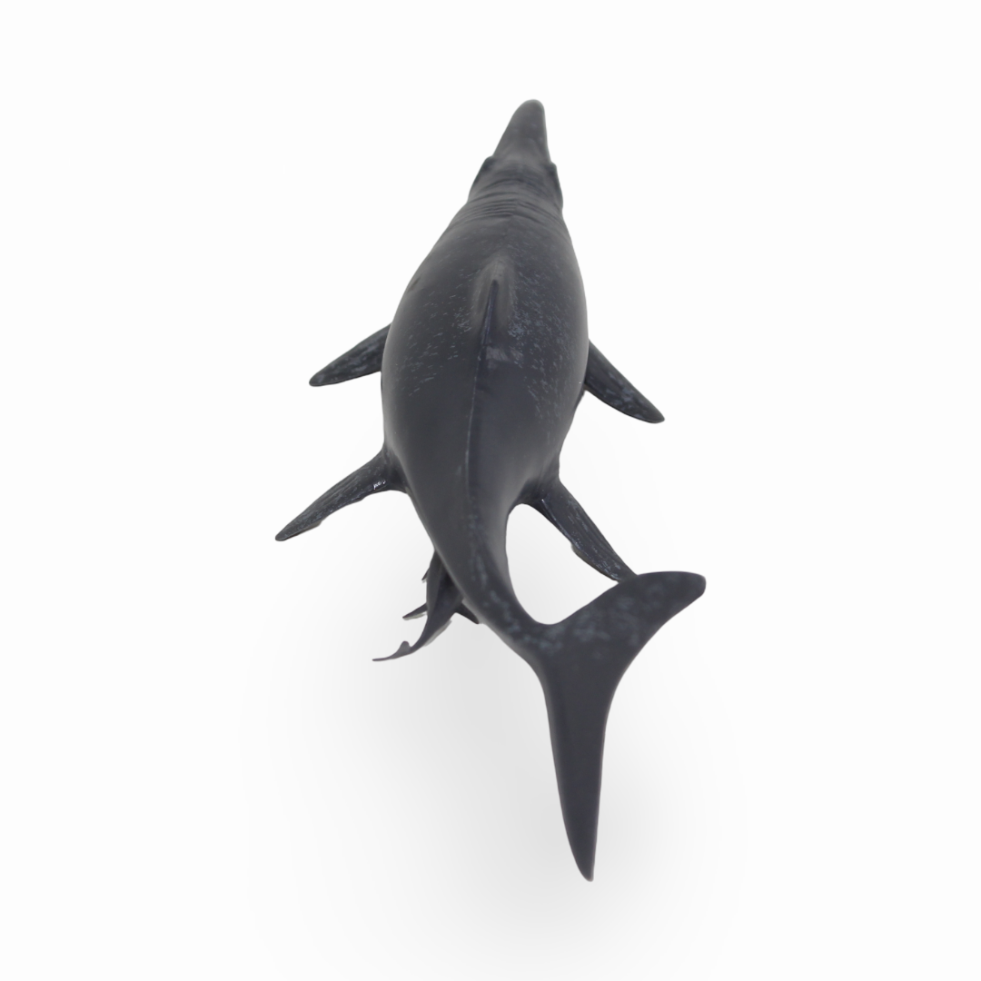 CollectA Temnodontosaurus Platyodon Figurein
