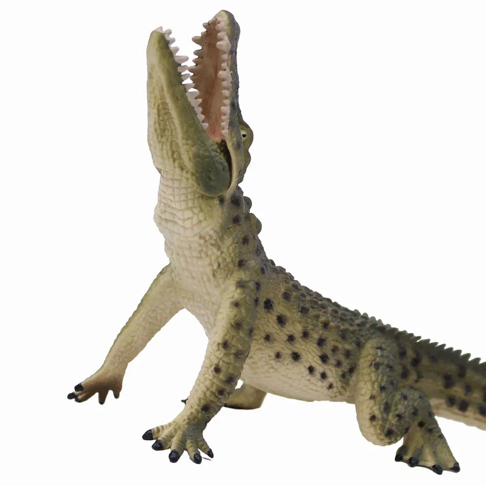 CollectA Nile Crocodile Figurine