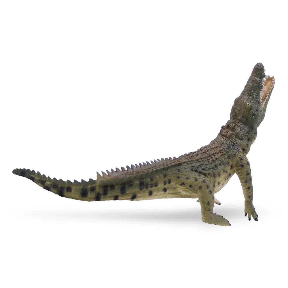 CollectA Nile Crocodile Figurine
