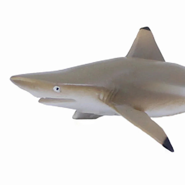 مجسم سمكة قرش الشعاب المرجانية من كوليكتا (CollectA Blacktip Reef Shark)