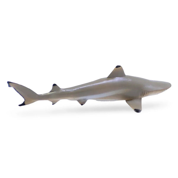 مجسم سمكة قرش الشعاب المرجانية من كوليكتا (CollectA Blacktip Reef Shark)