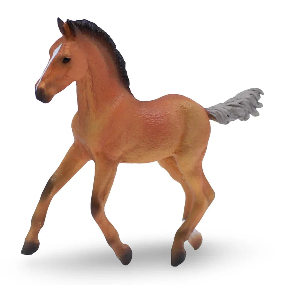 CollectA Hanoverian Foal Figurine - Toys