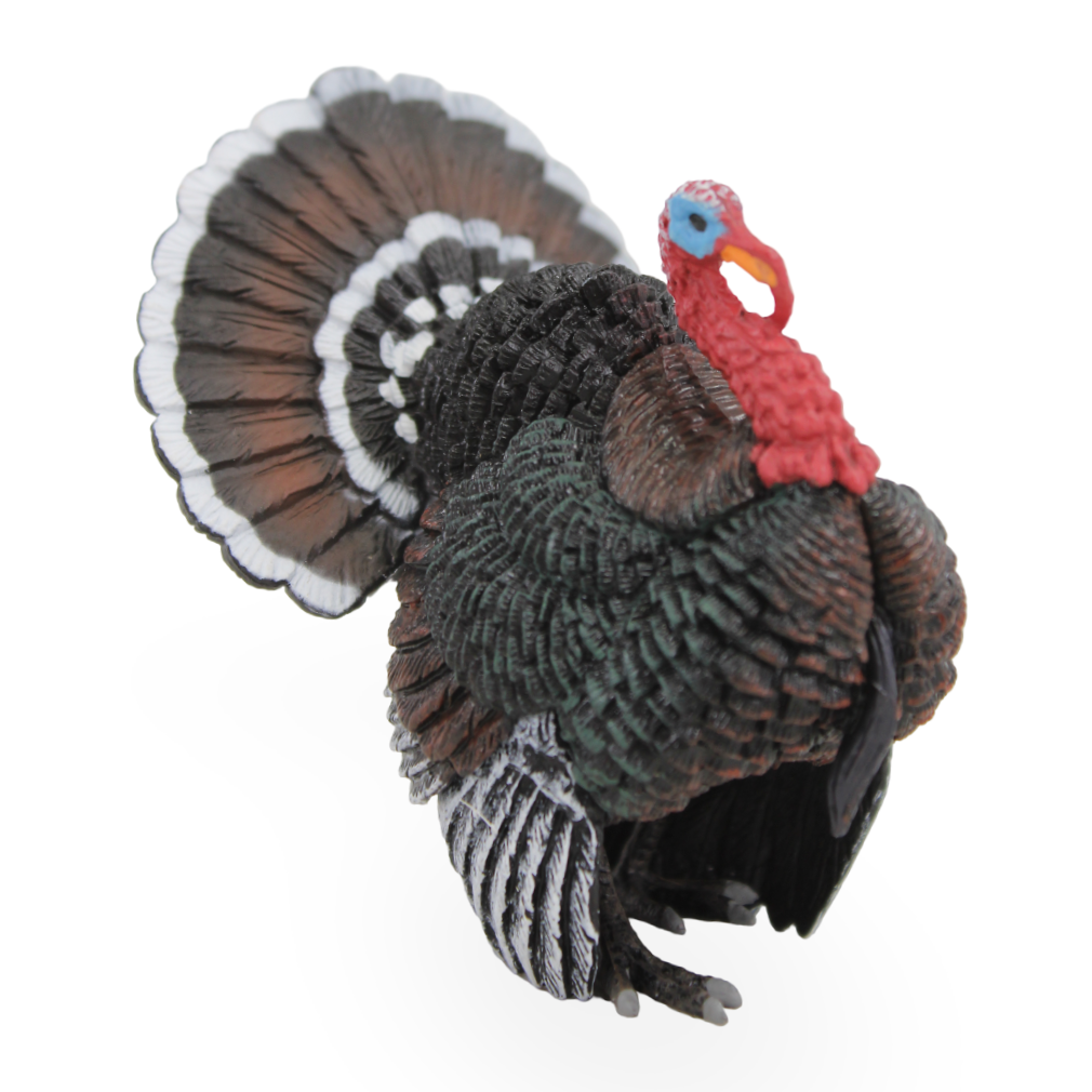 CollectA Turkey Figurine - Toys