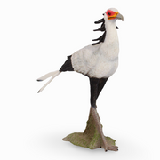 Secretary Bird Figurine