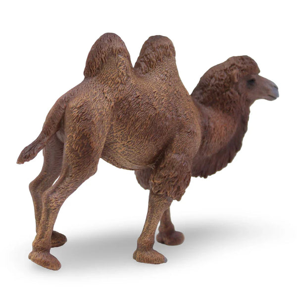 CollectA Bactrian Camel Figurine