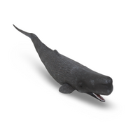 CollectA Sperm Whale Figurine