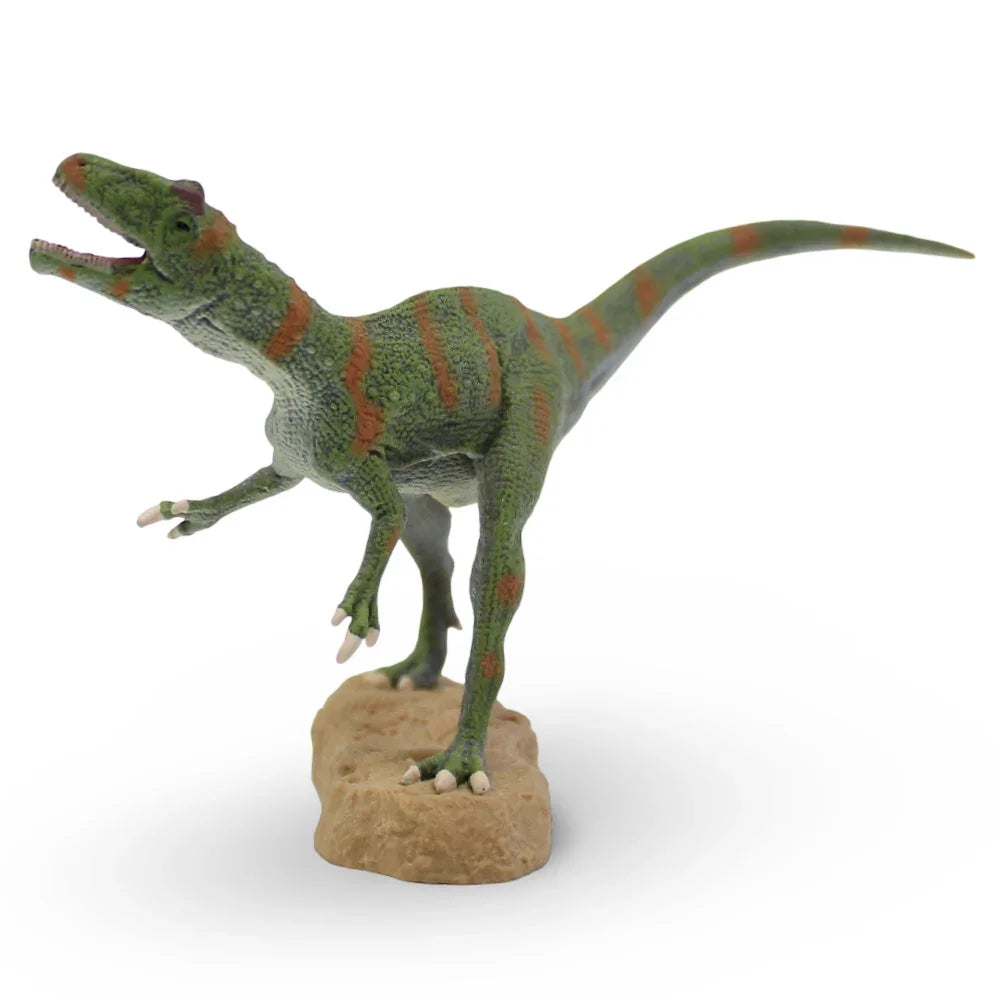 CollectA Fukuiraptor – 1:40 Scale Figurine - Toys