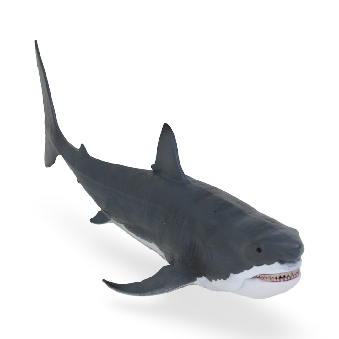 CollectA Megalodon with Movable Jaw – Deluxe 1:40 Scale Figurine