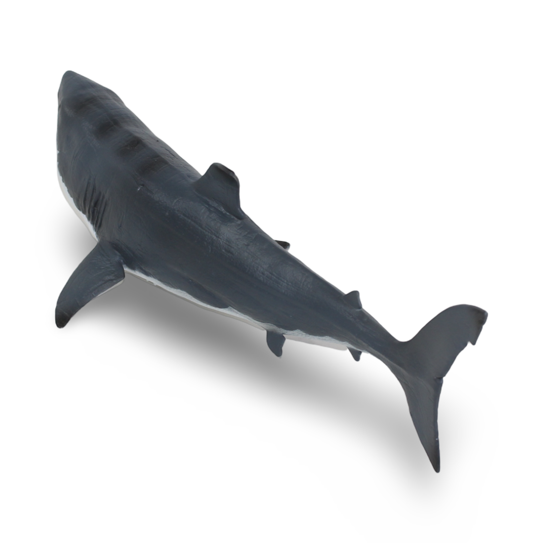 CollectA Megalodon with Movable Jaw – Deluxe 1:40 Scale Figurine