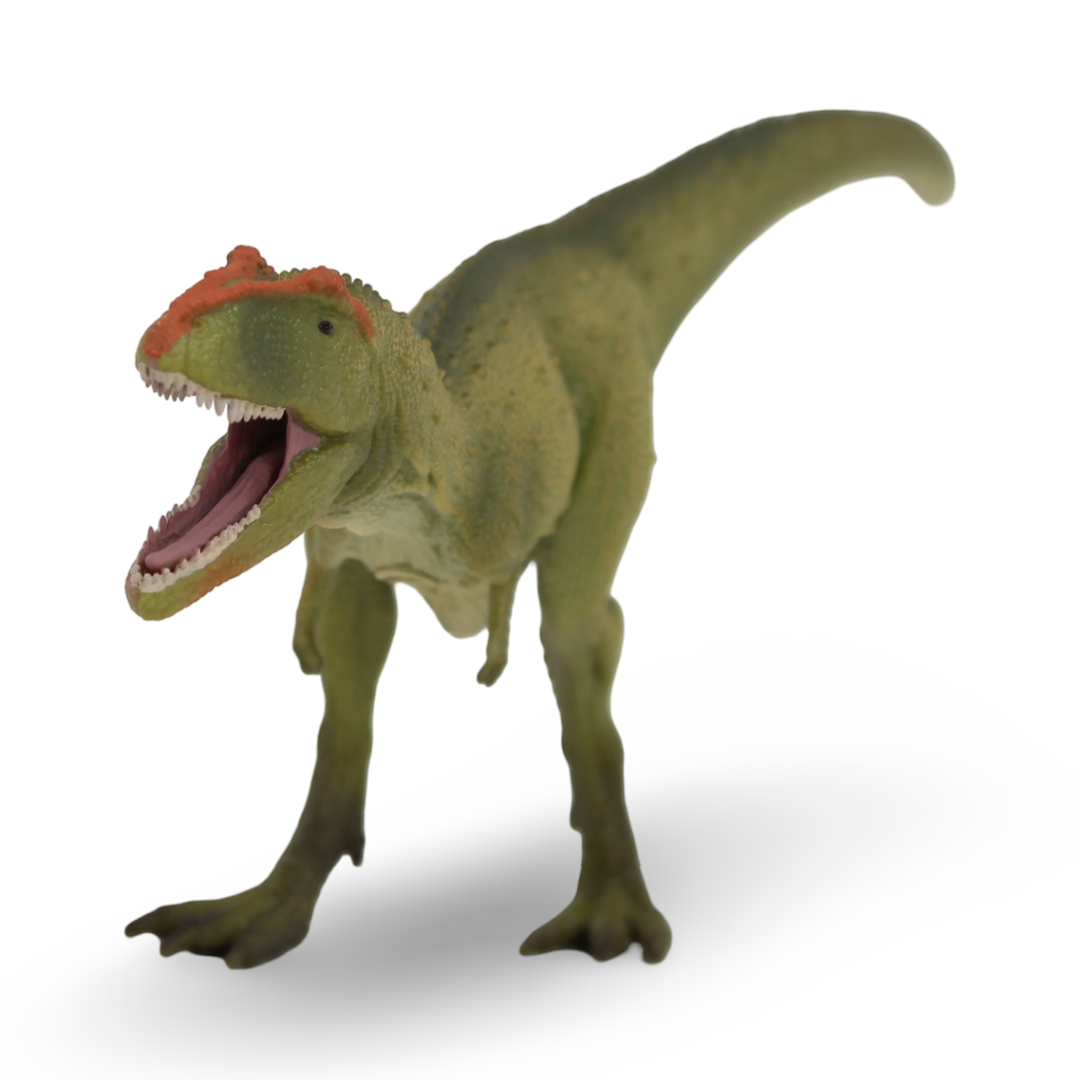 CollectA Mapusaurus Figurine