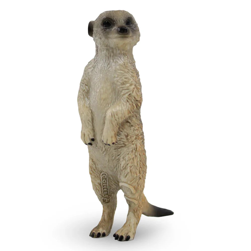 CollectA Meerkat Figurine - Toys