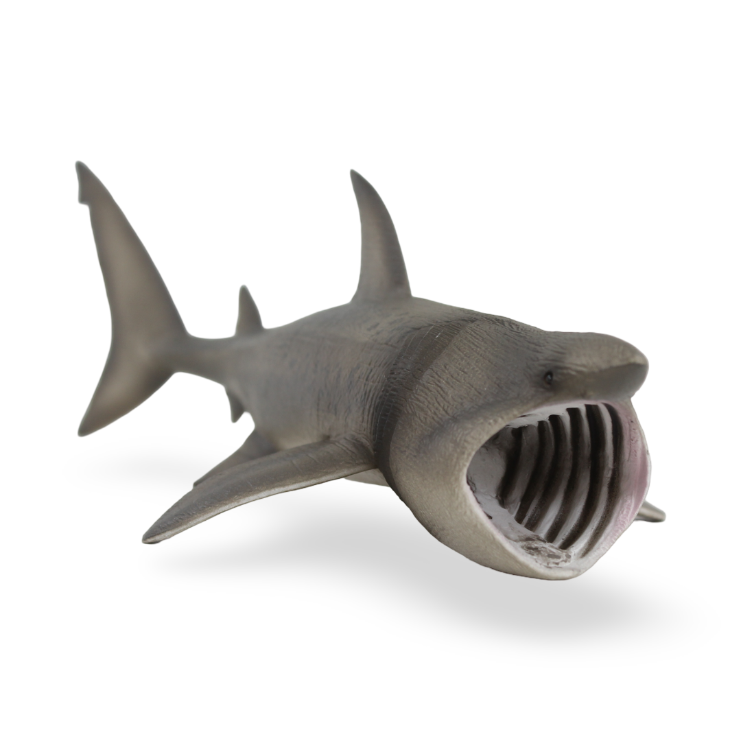 CollectA Basking Shark Figurine - Toys