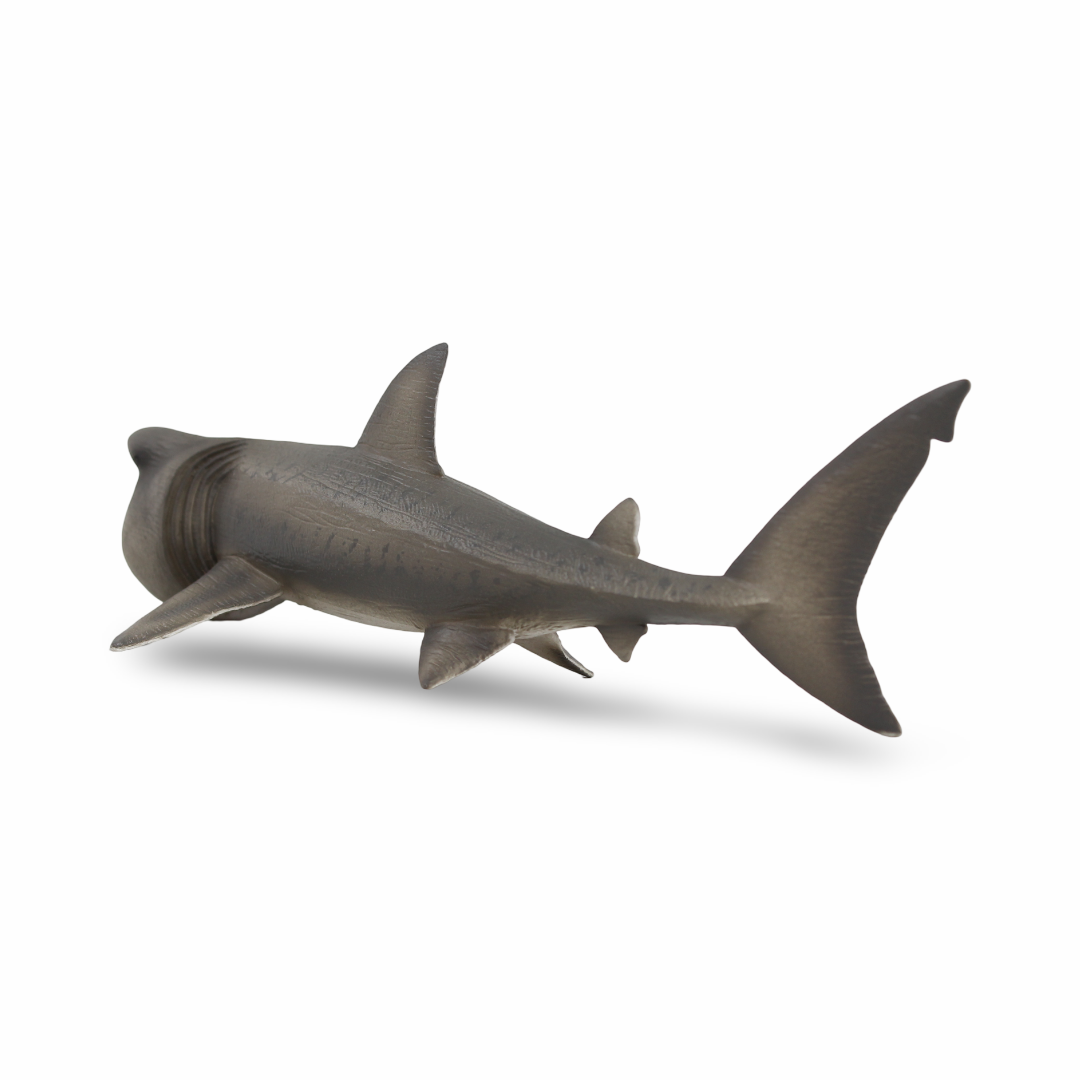 CollectA Basking Shark Figurine