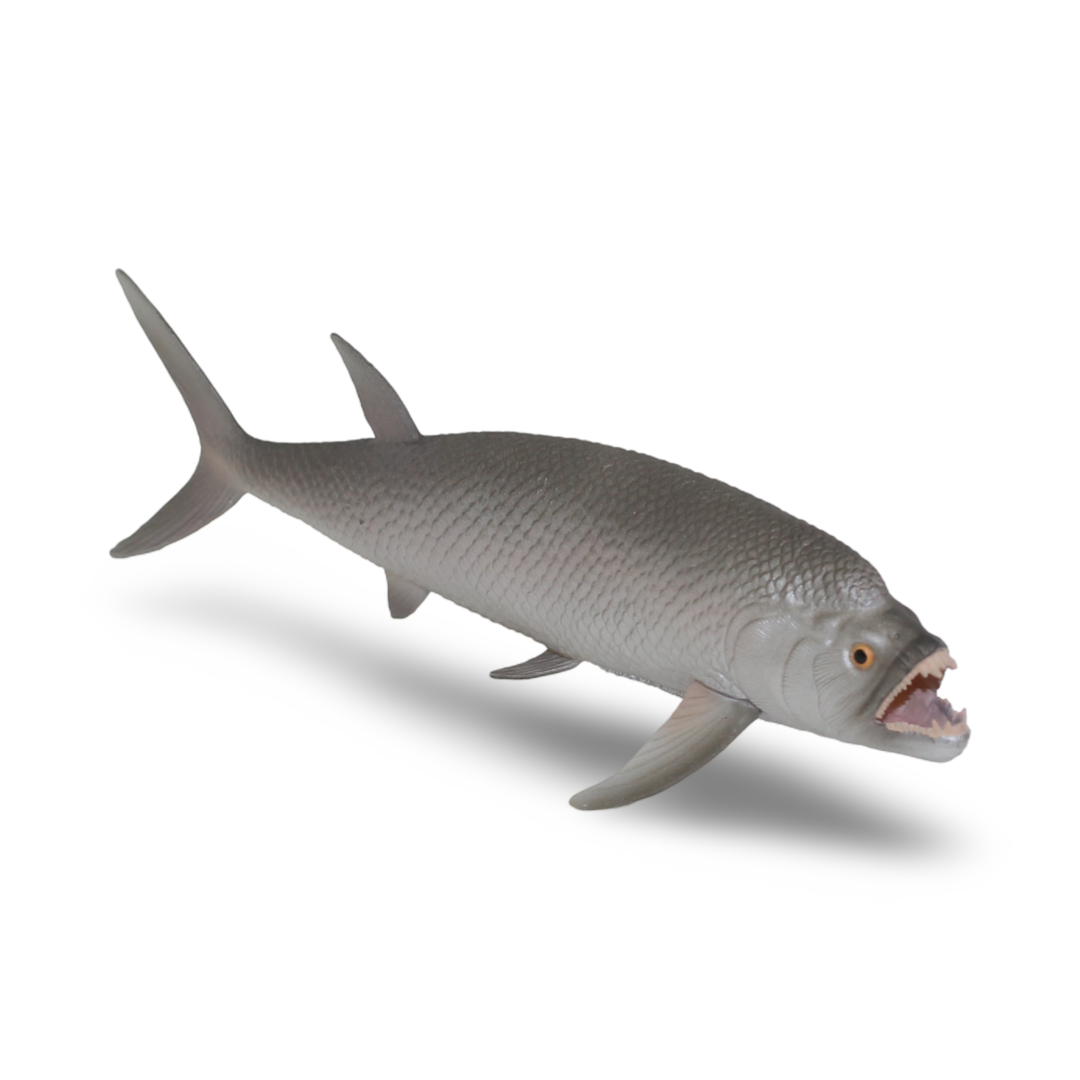 CollectA Xiphactinus Figurine - Toys