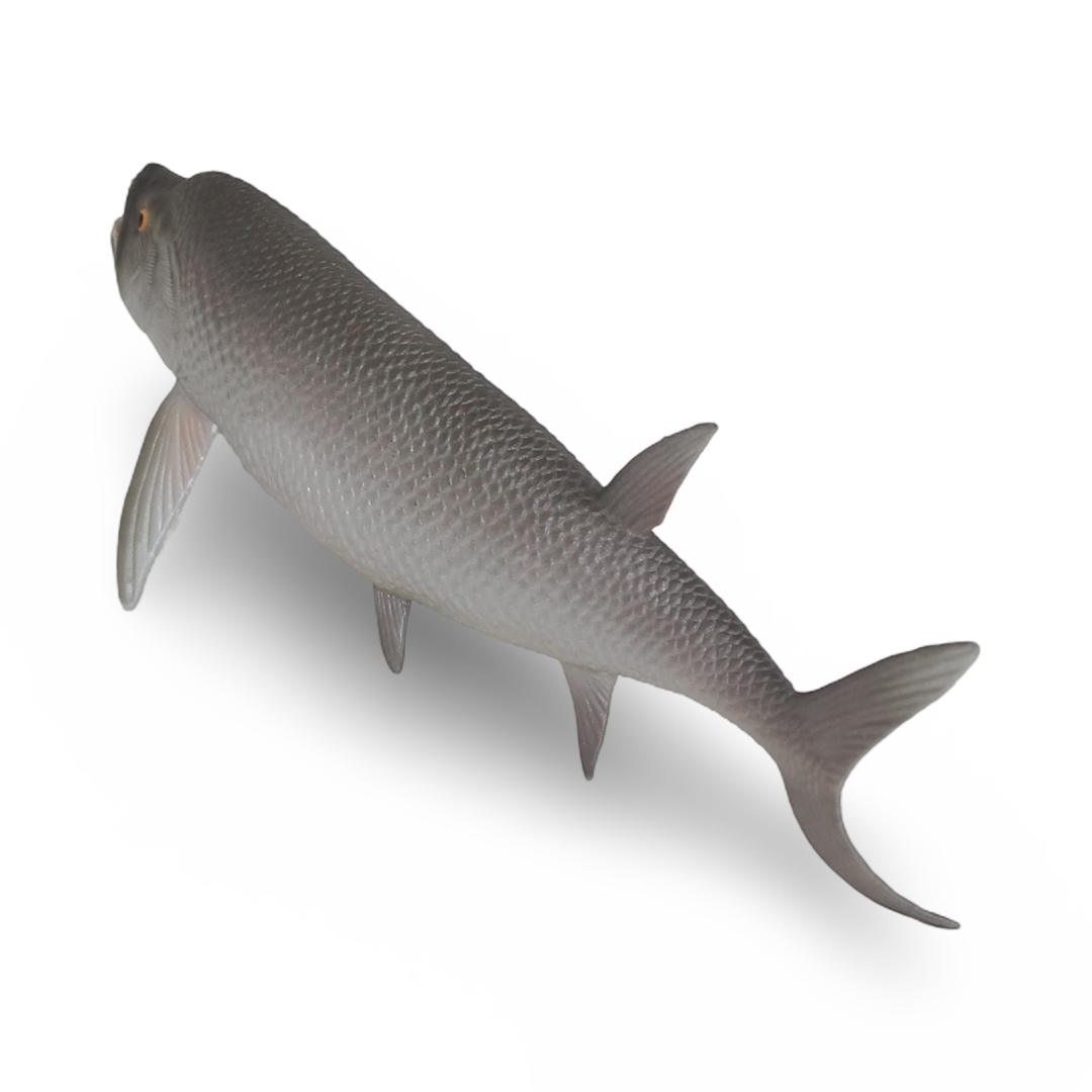 شخصية سمكة Xiphactinus من CollectA