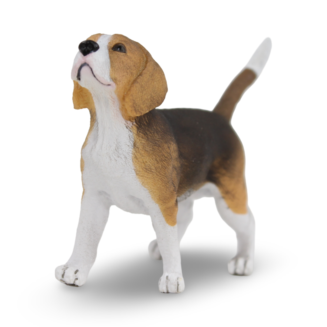 CollectA Beagle Figurine