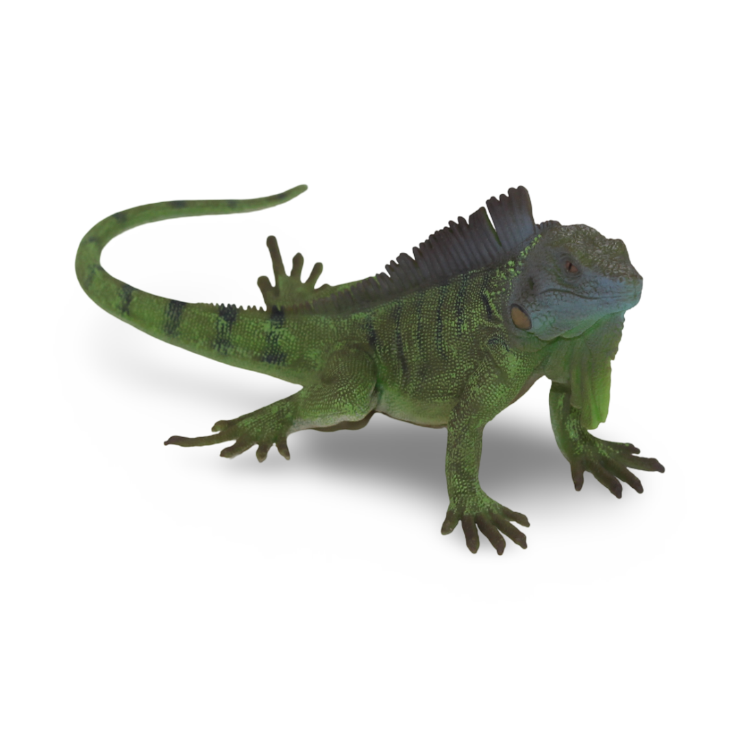 CollectA Green Iguana Figurine - Toys