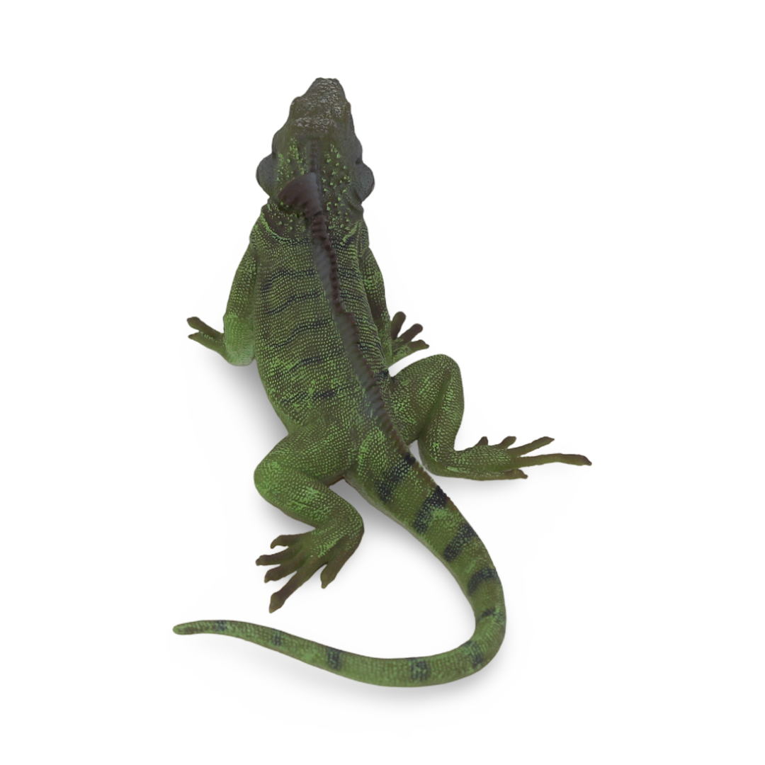 CollectA Green Iguana Figurine