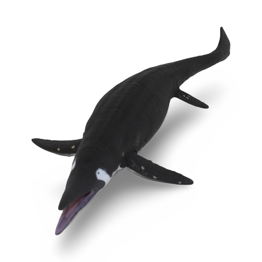 CollectA Shastasaurus Figurine - Toys