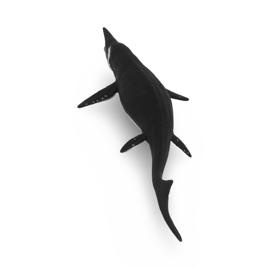 CollectA Shastasaurus Figurine