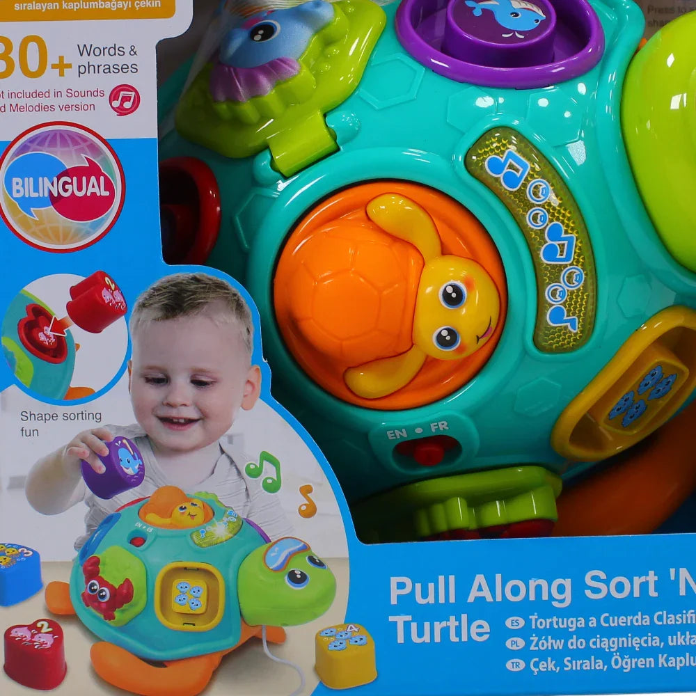 WinFun Pull Along Sort 'N Learn Turtle