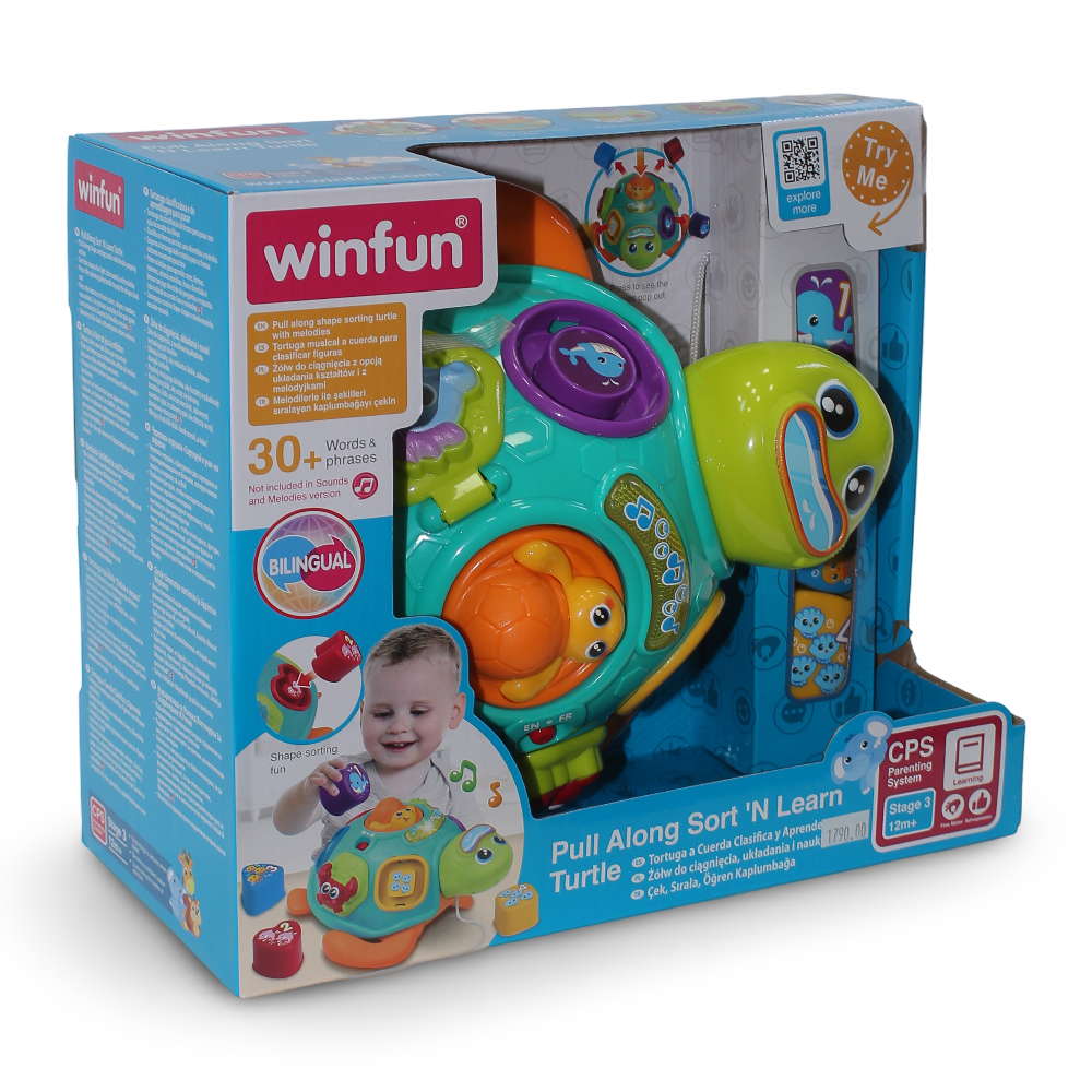 WinFun Pull Along Sort 'N Learn Turtle