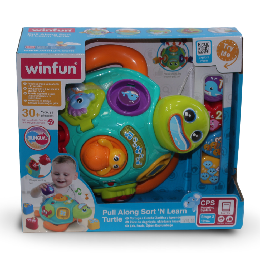 WinFun Pull Along Sort 'N Learn Turtle