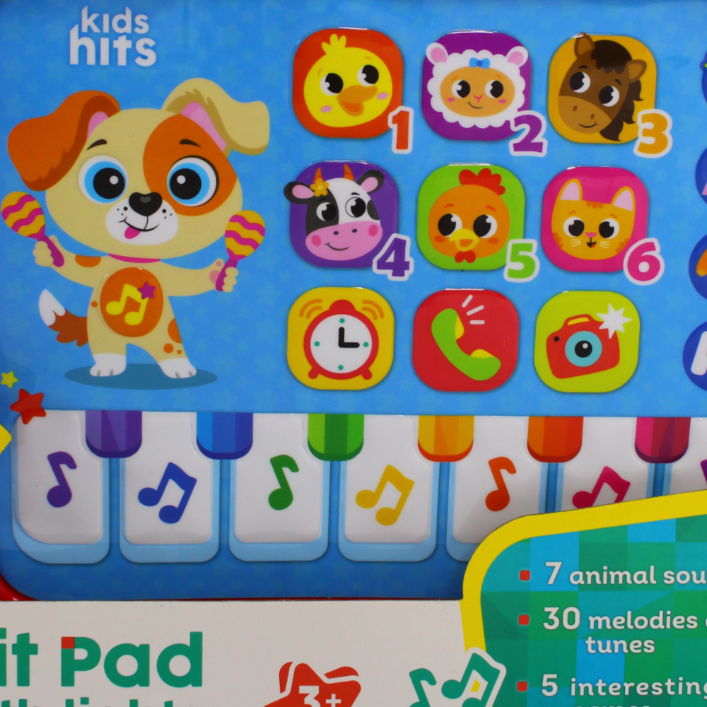 Kids Hits Pad with Lights & Music – Fun Learning for Kids