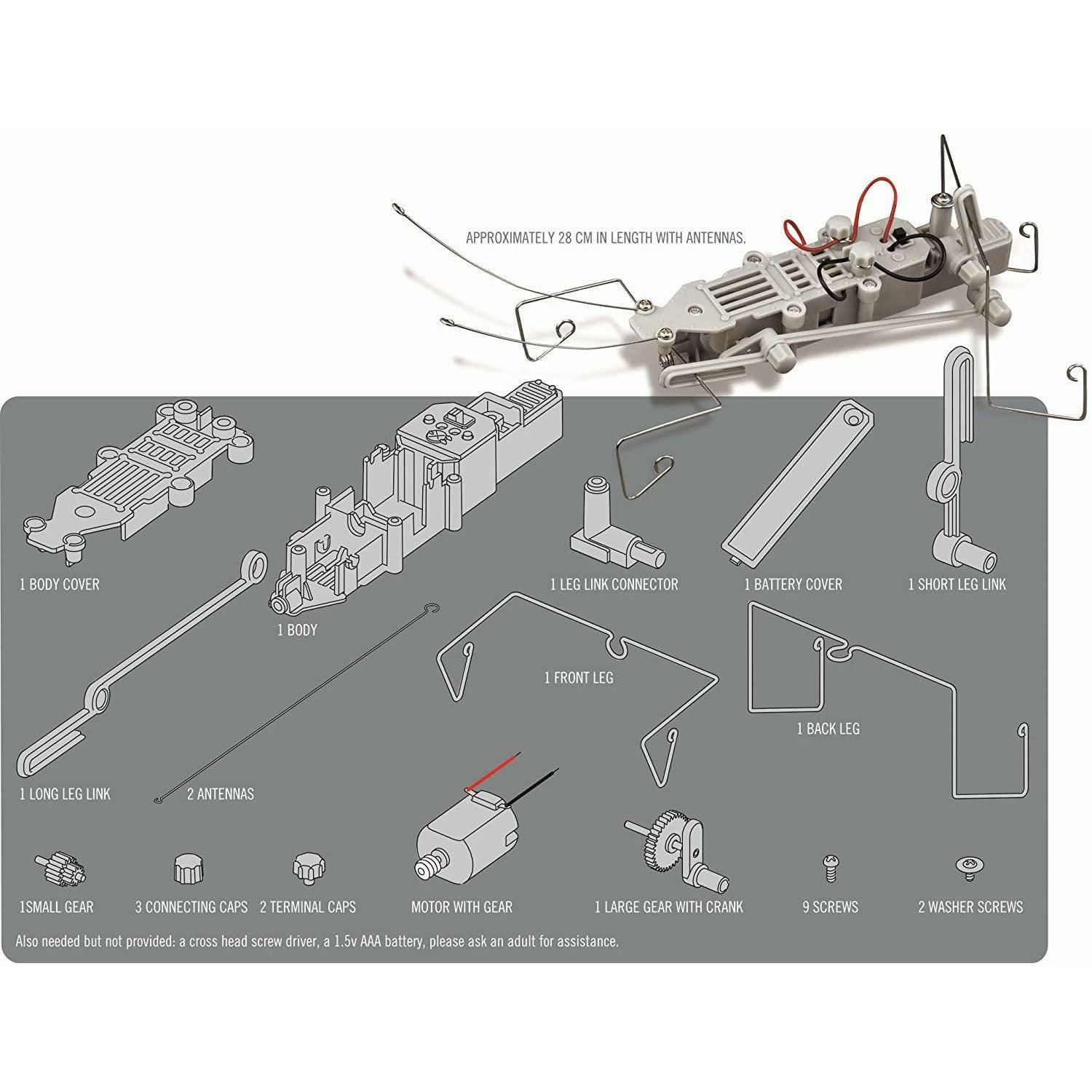 4M Fun Robotics Insectoid Making Kit - Ourkids - 4M