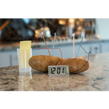 4M Potato Clock - Ourkids - 4M