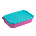 Aqua & Fuchsia