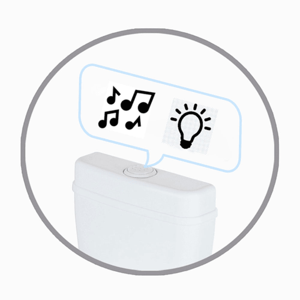 Dolu Educational Potty Training Seat