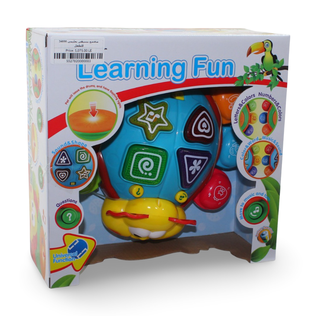 Learning Fun Musical Turtle Toy