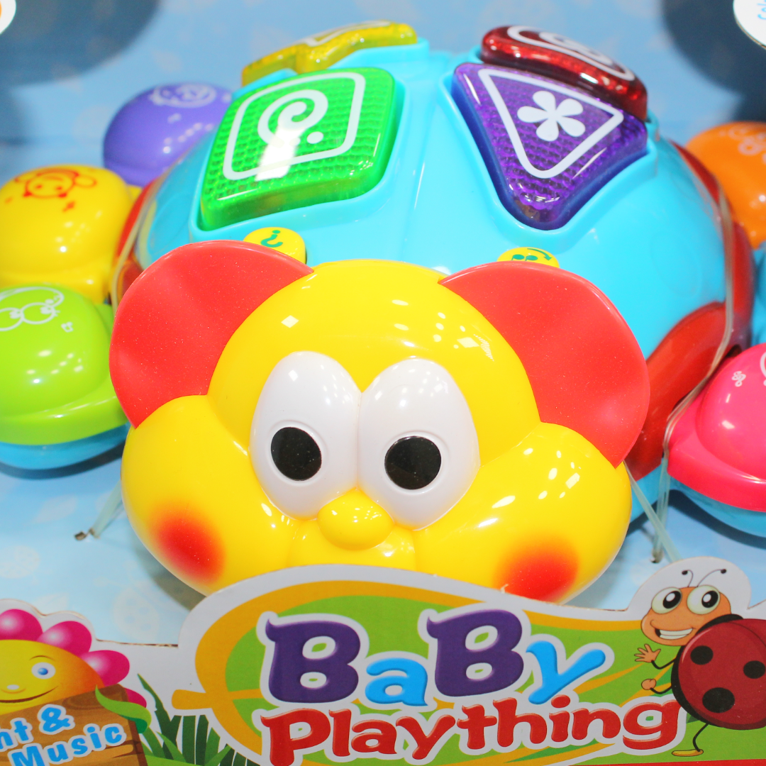 Learning Fun Musical Turtle Toy