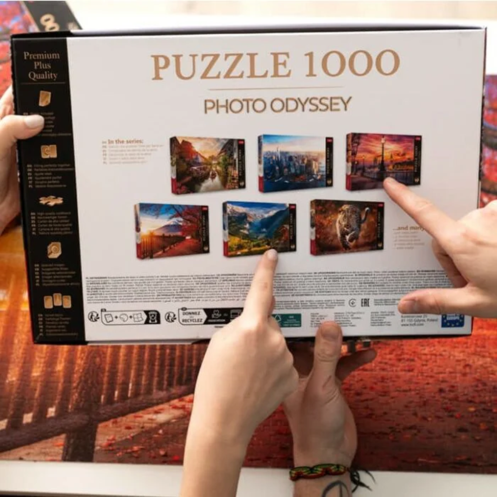 Trefl Puzzle Premium Plus Quality – Bode Museum in Berlin Germany 1000 Pcs