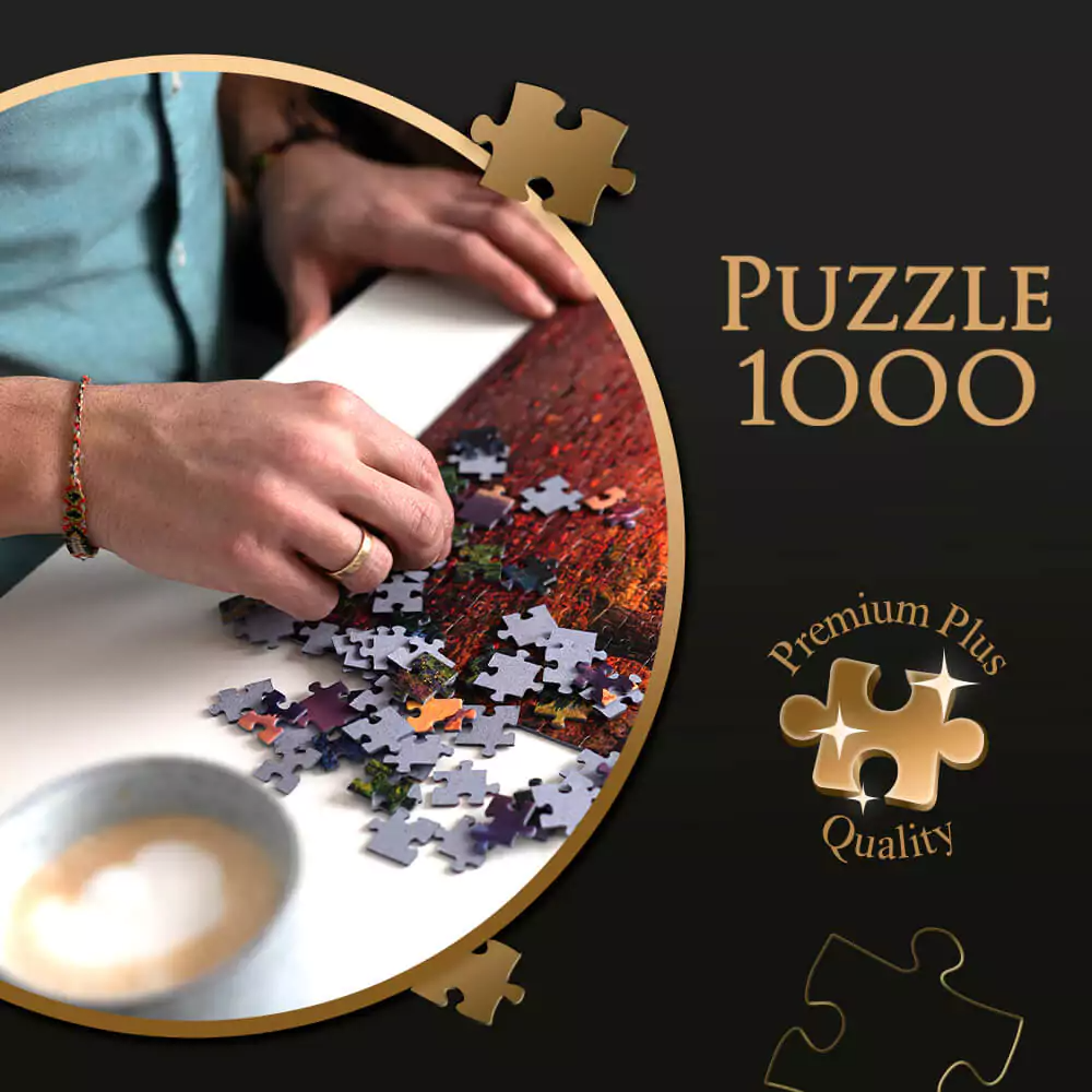 Trefl Puzzle Premium Plus Quality – Bode Museum in Berlin Germany 1000 Pcs