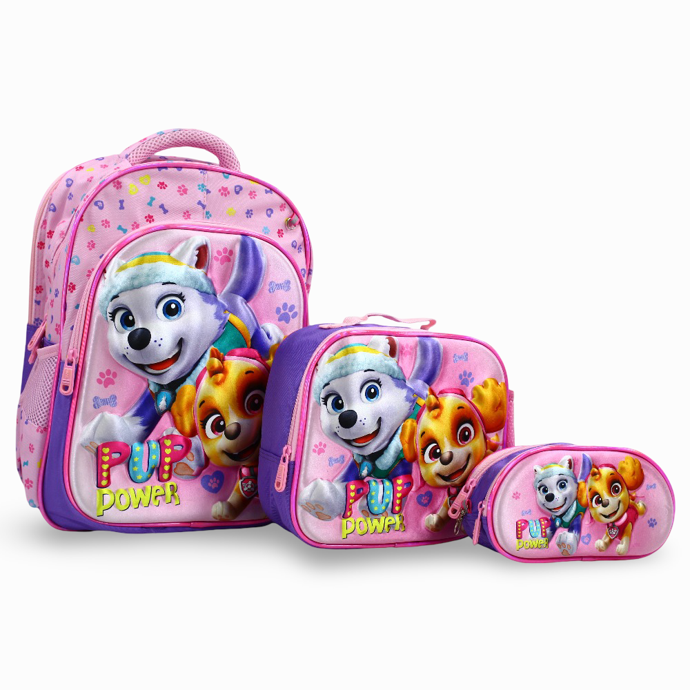 Paw Patrol School Set - 16 Inches