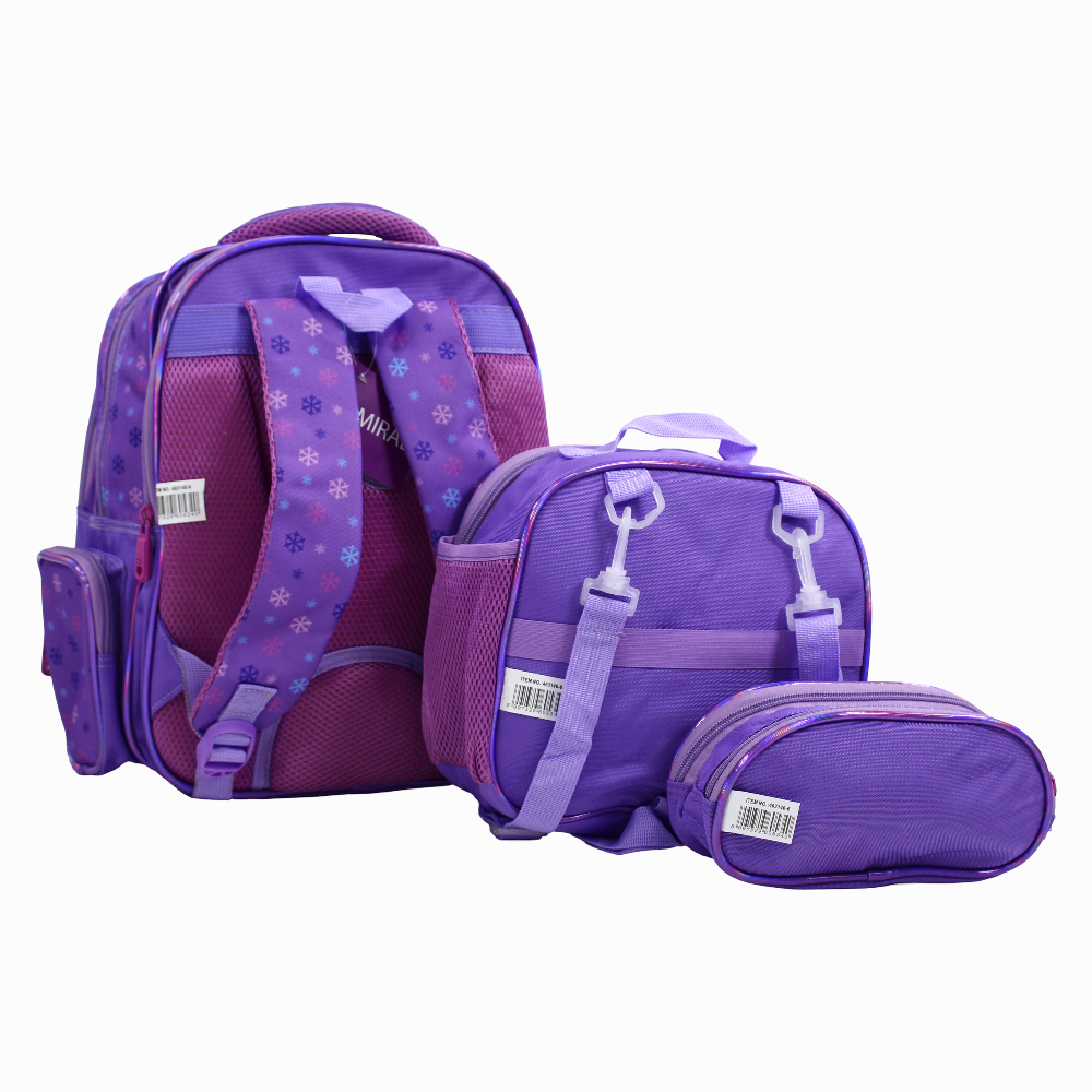 Frozen School Set - 14 Inches