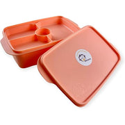 Banana Divided Lunch Box - 1 L (Salmon)
