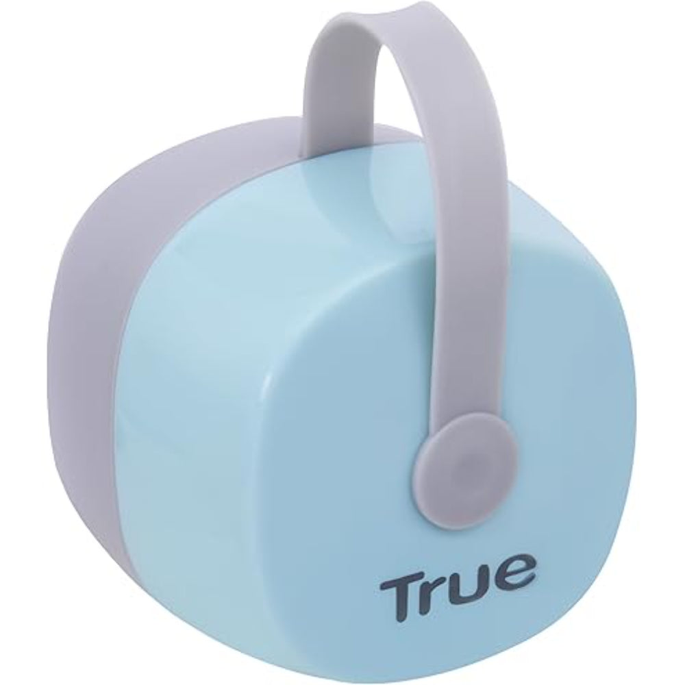 True Gold Soother Container – Mint & Grey