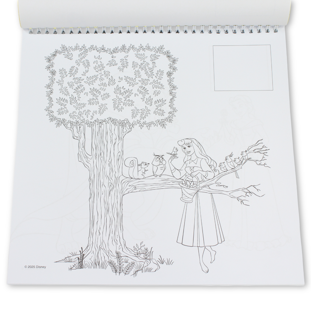 Princesses Coloring Book